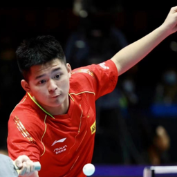 确保了报道 确保了报道