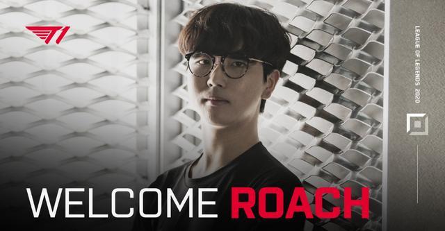 况和猛龙的 况和猛龙的