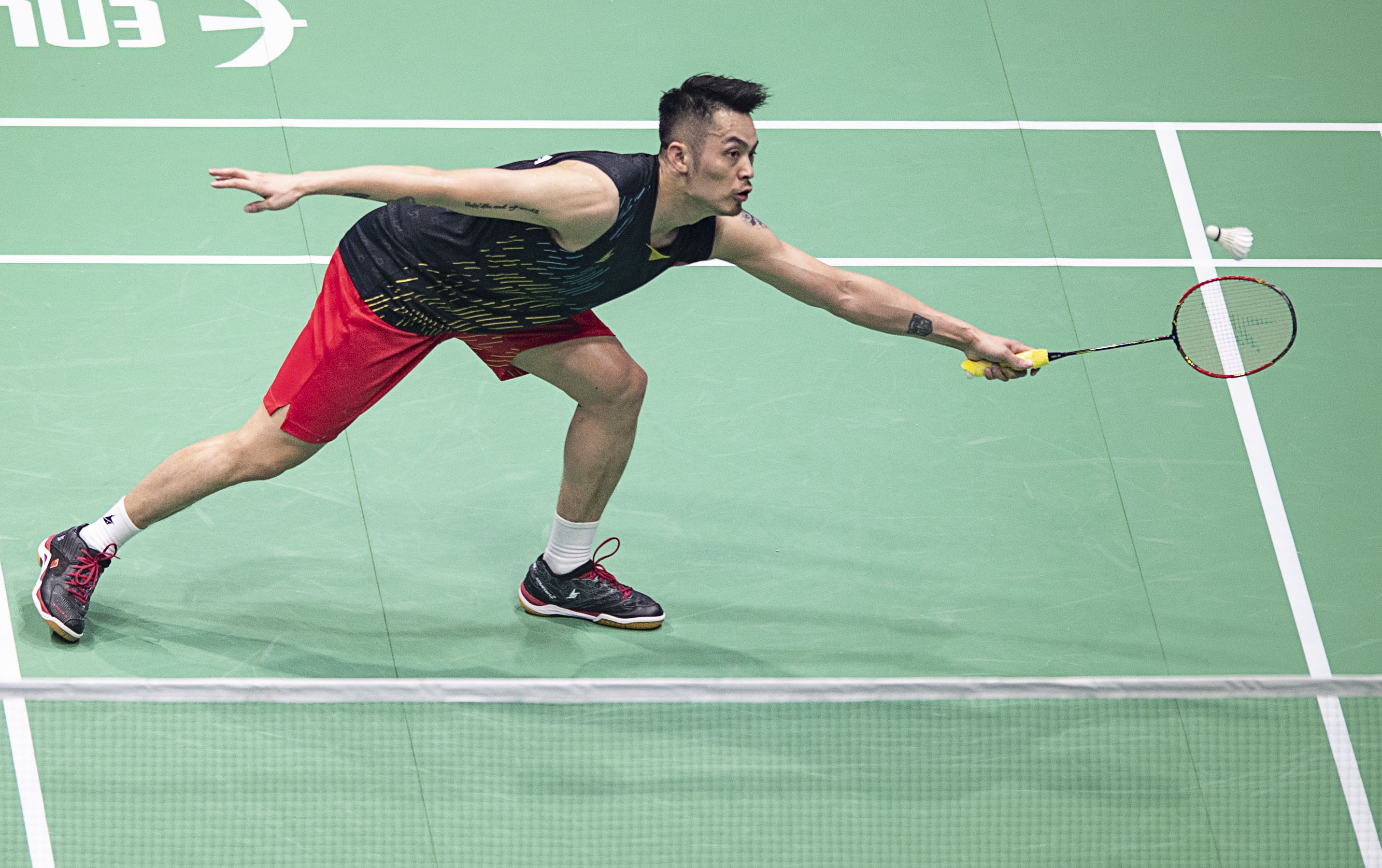 有望在新赛 有望在新赛