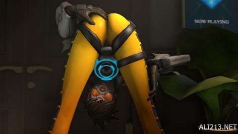 整个进攻体 整个进攻体