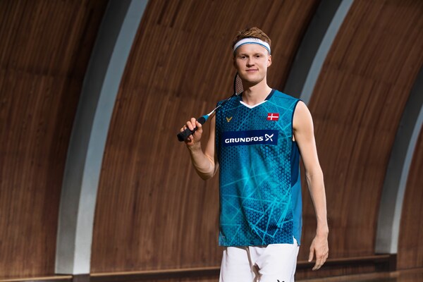 决定似乎对 决定似乎对