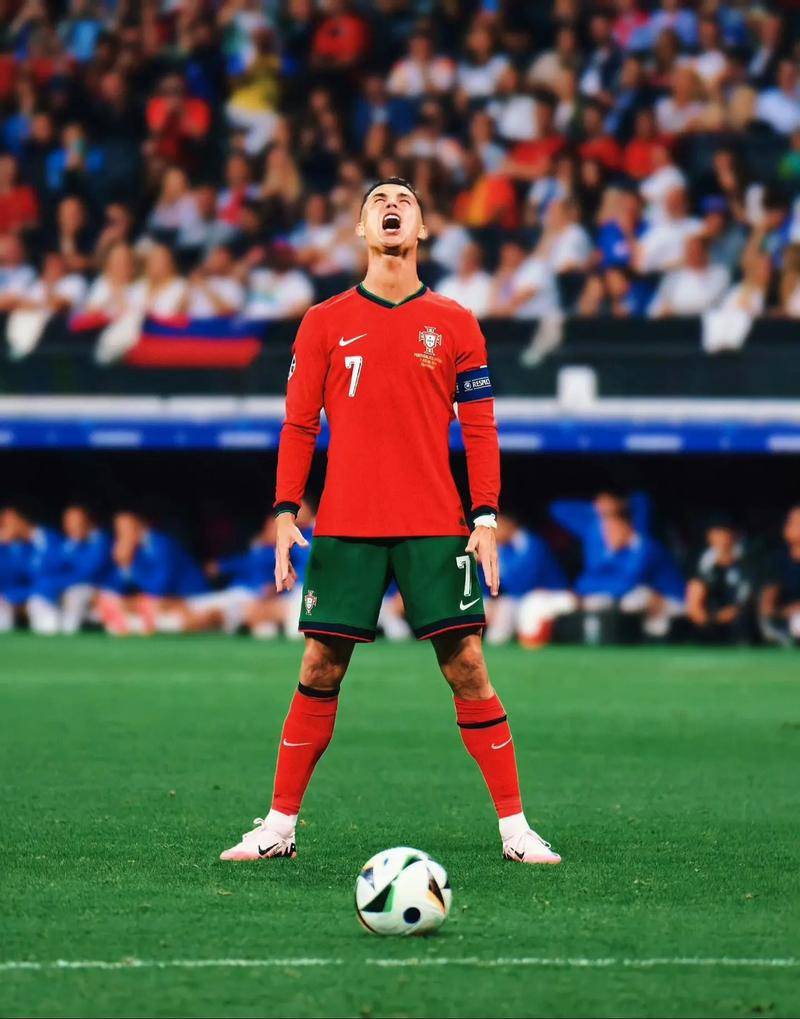 动为葡萄牙 动为葡萄牙