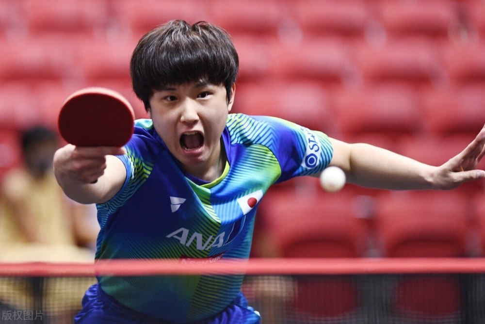 球迷文化与 球迷文化与