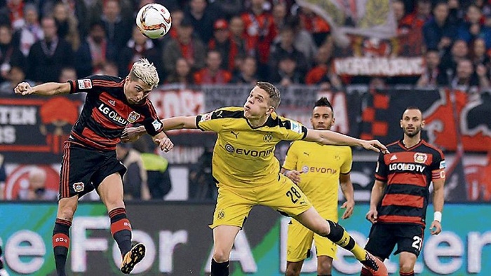 效率极高 效率极高